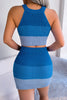 Color Block Sleeveless Crop Knit Top and Skirt Set